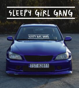 Mały banner- Sleepy girl gang